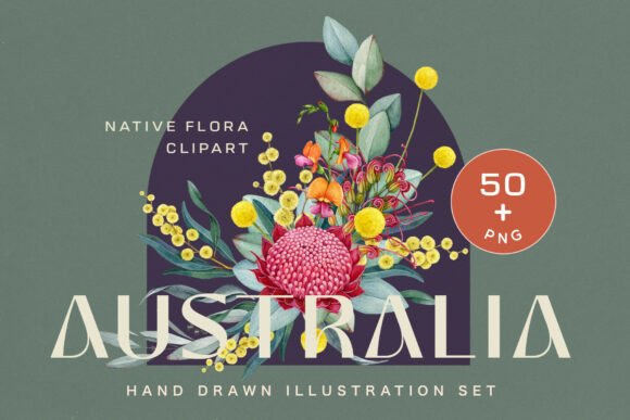 Exploring the Artistic Value of Australia Flora Watercolor Clipart for Creative Projects